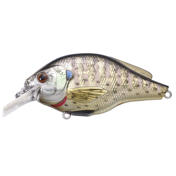 LiveTarget Bluegill Squarebill Metallic/ Gloss no. 6