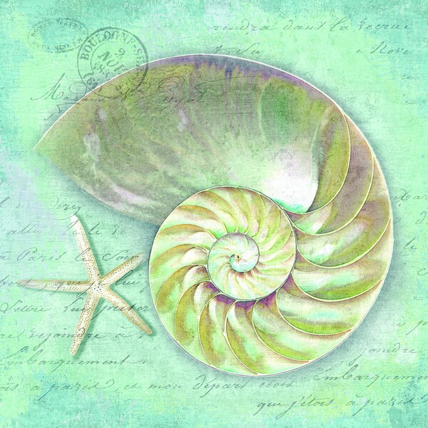 Portfolio Canvas Decor Suzanne Nicoll 'Into the Sea 1' Framed Canvas Wall Art (Set of 2)
