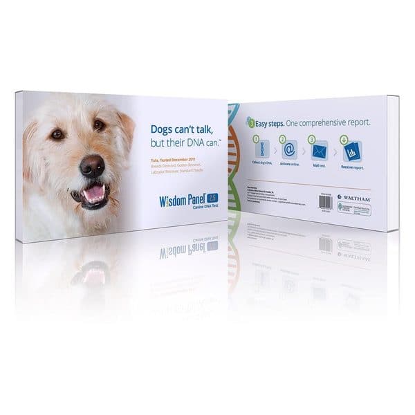 Mars Veterinary Wisdom Panel Version Dog DNA Test