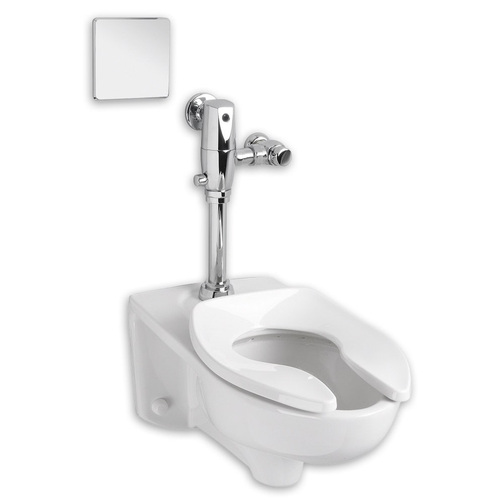 https://ak1.ostkcdn.com/images/products/10168316/American-Standard-Afwall-Millennium-Flowise-Elongated-Toilet-053f13cc-d754-49b7-8715-6ed26419431f_1000.jpg