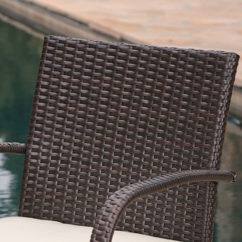 Cordoba Resin Wicker Outdoor Dining Chairs with Cushions (Set of 2) by Christopher Knight Home