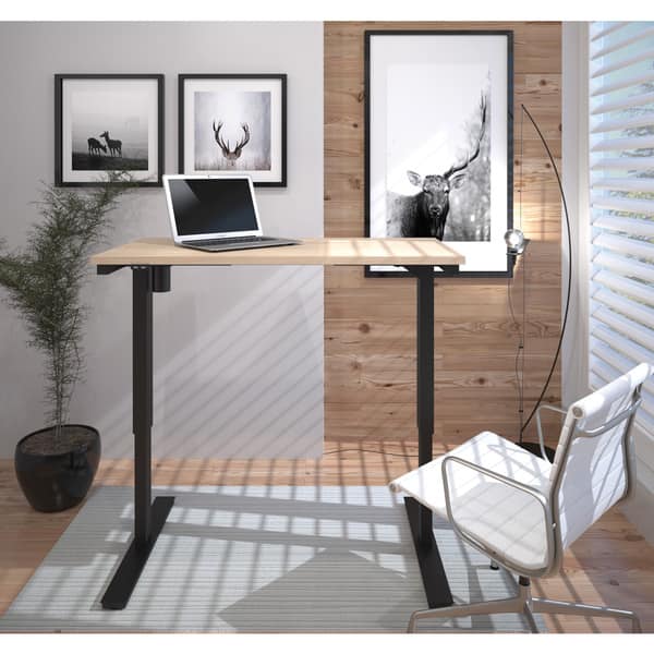 https://ak1.ostkcdn.com/images/products/10172473/Bestar-24-x-48-Electric-Height-adjustable-table-d8e8d604-aa0b-4891-b785-860bfd7bc608_600.jpg?impolicy=medium