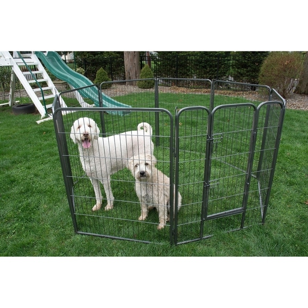 maltese playpen