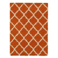 Ottomanson Ultimate Collection Moroccan Trellis Design Shag Area Rug