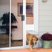 Shop Endura Flapthermo Panel Large Flap Pet Door For Sliding Glass