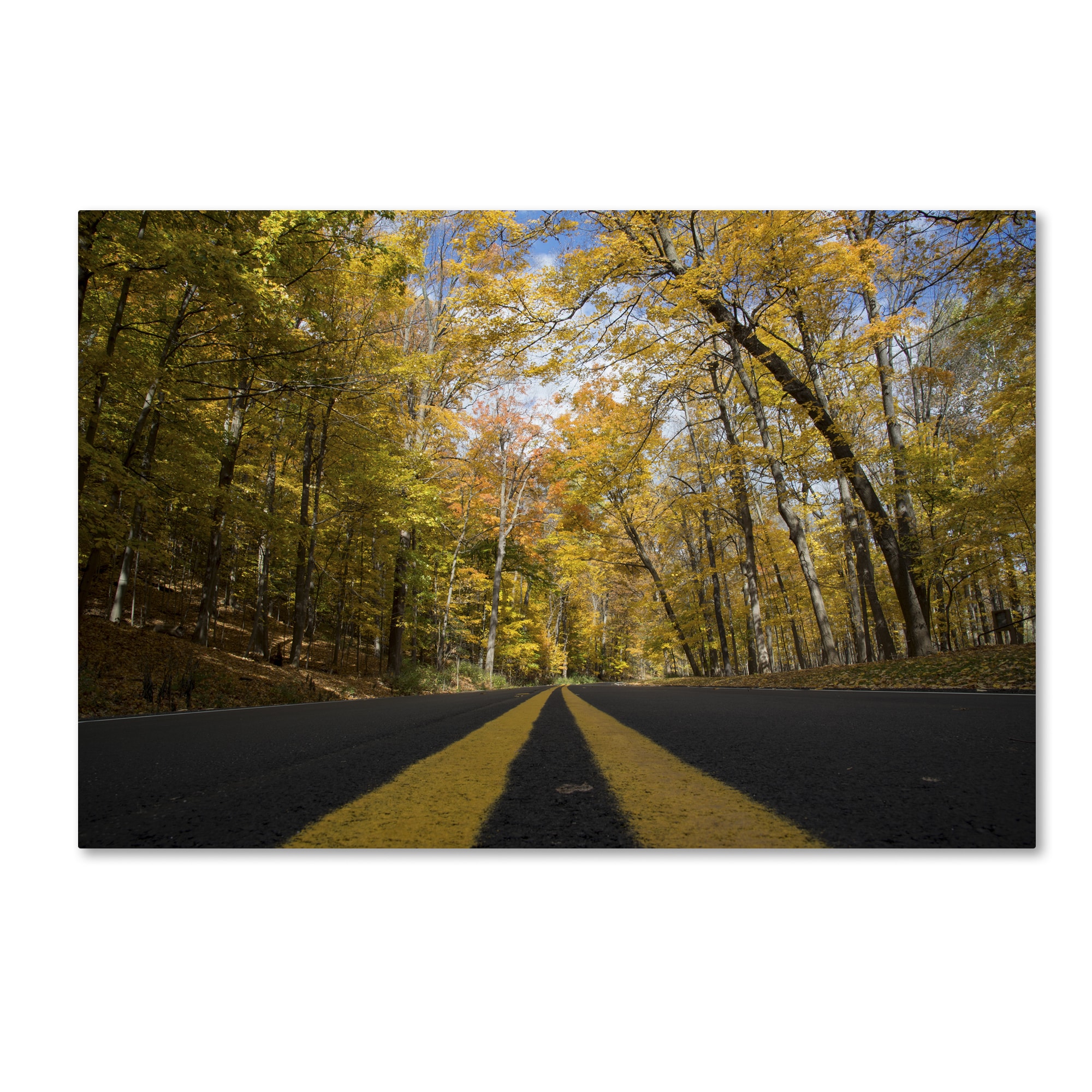 Kurt Shaffer Autumn Along the Valley Parkway Canvas Art   17341034