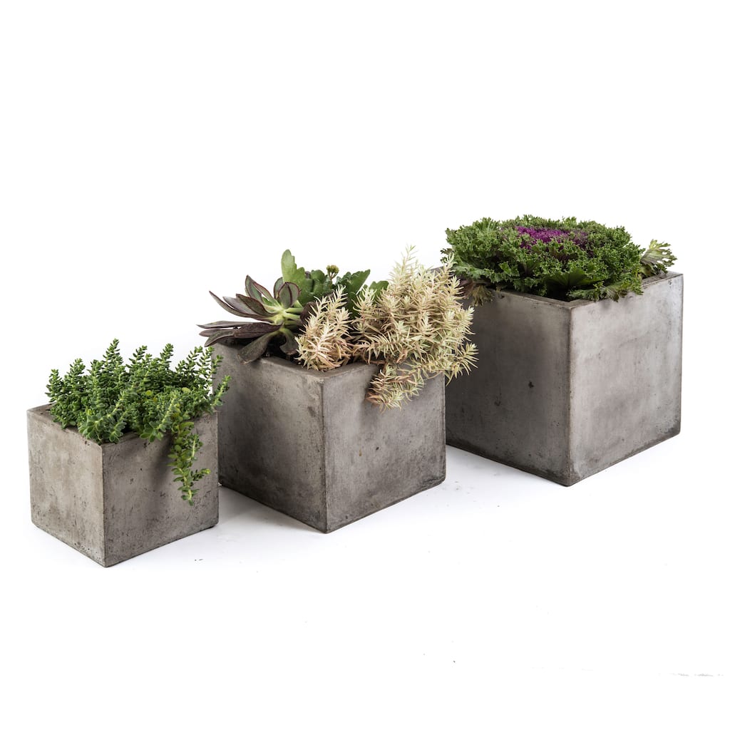 Handmade Eco-Concrete Cube Planters (Indonesia)