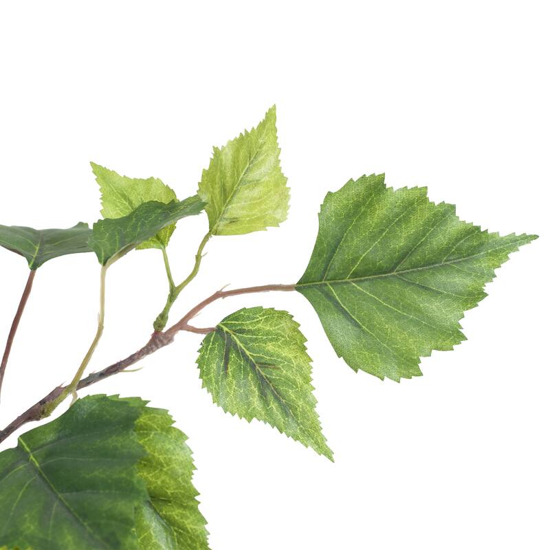 Birch Artificial Tree - 60-Inch Potted Faux Plant with Natural Looking Leaves for Office or Home Decor