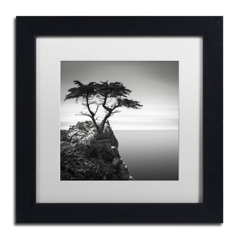 Dave MacVicar The Lone Cypress Matted Framed Wall Art - Black Frame White Matte