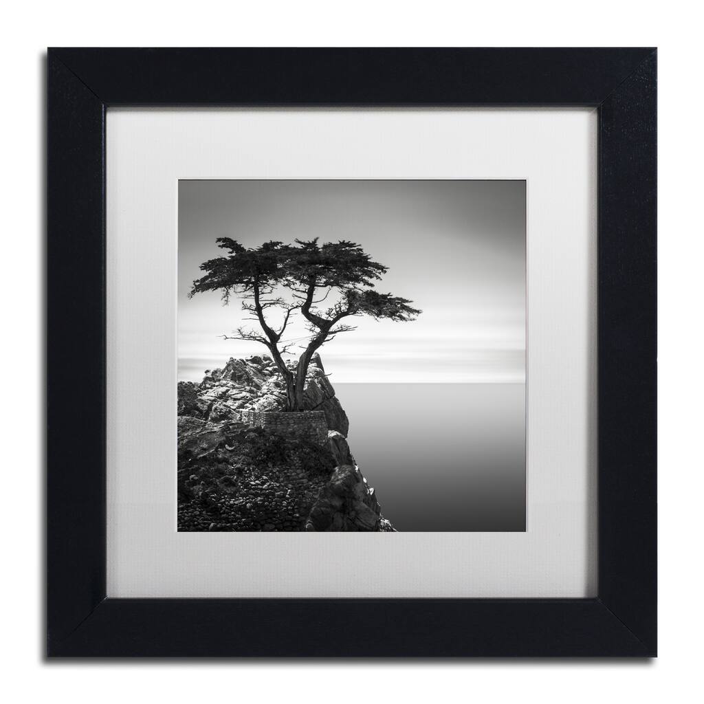 Dave MacVicar The Lone Cypress Matted Framed Wall Art - Black Frame White Matte