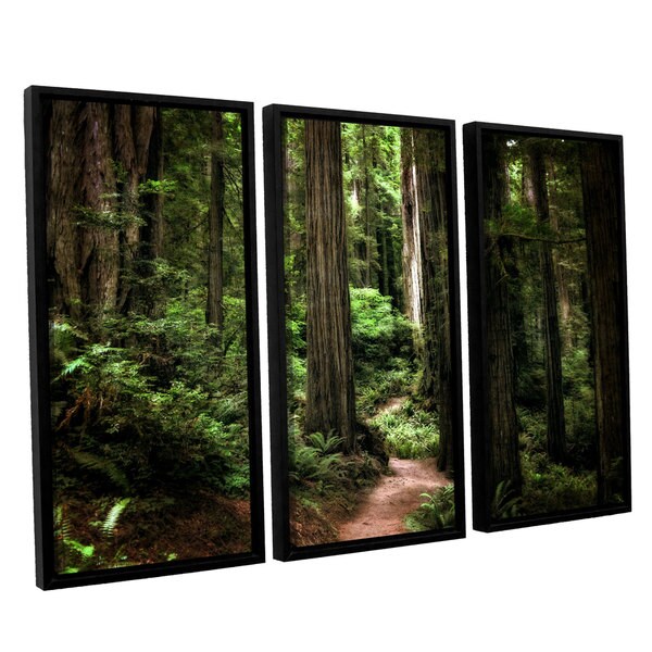 Shop ArtWall Kevin Calkins ' Enchanted Path 3 Piece Floater Framed ...