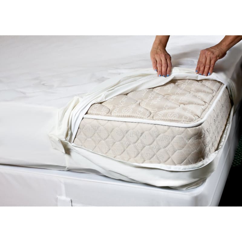 Complete Encaement Cotton top ZIpperd Bed Bug Waterproof Mattress Cover - King
