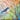 Jennifer Lommers 'Blue Bird' Giclee Print Canvas Wall Art