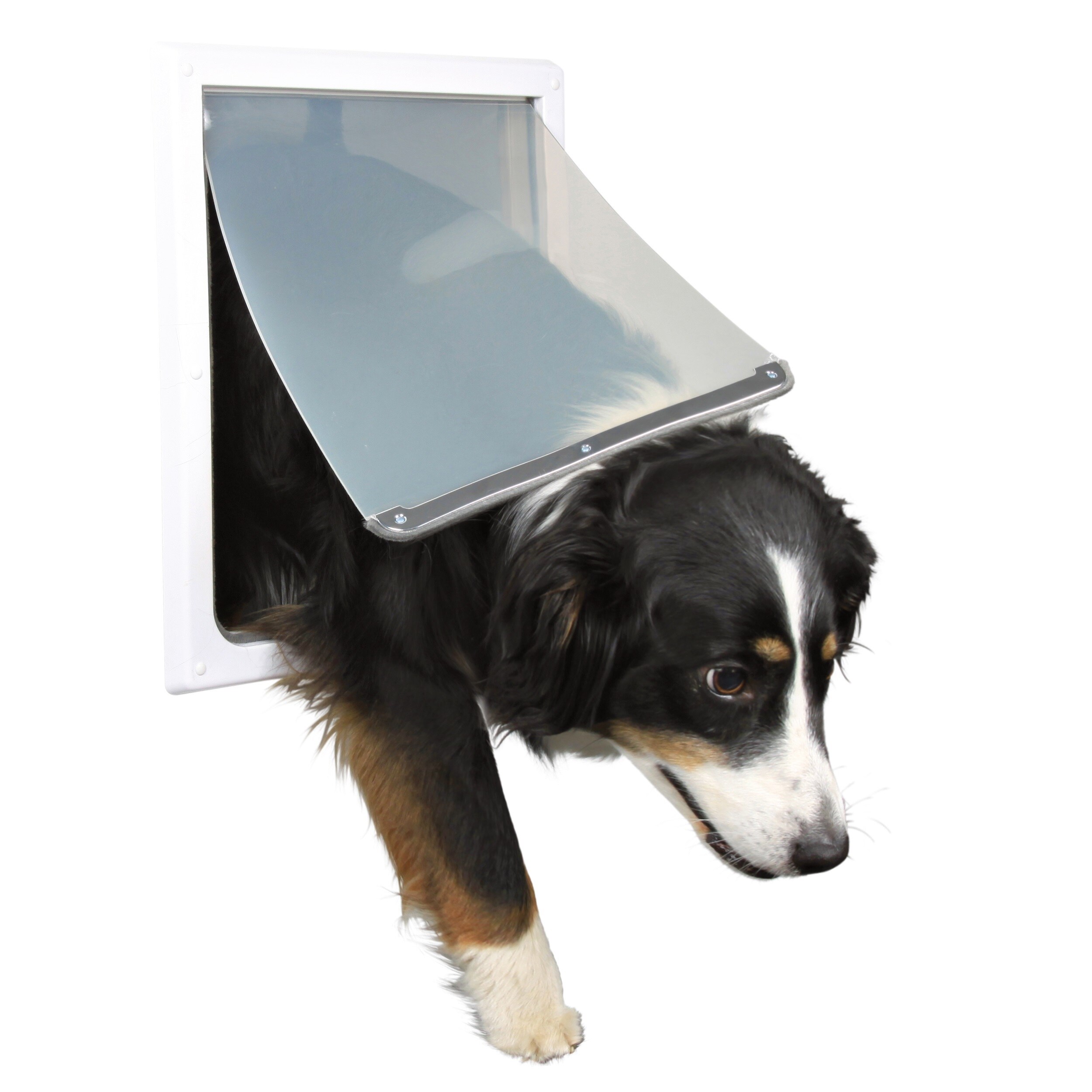 Shop Trixie Medium Extra Large 2 Way Dog Door White Free