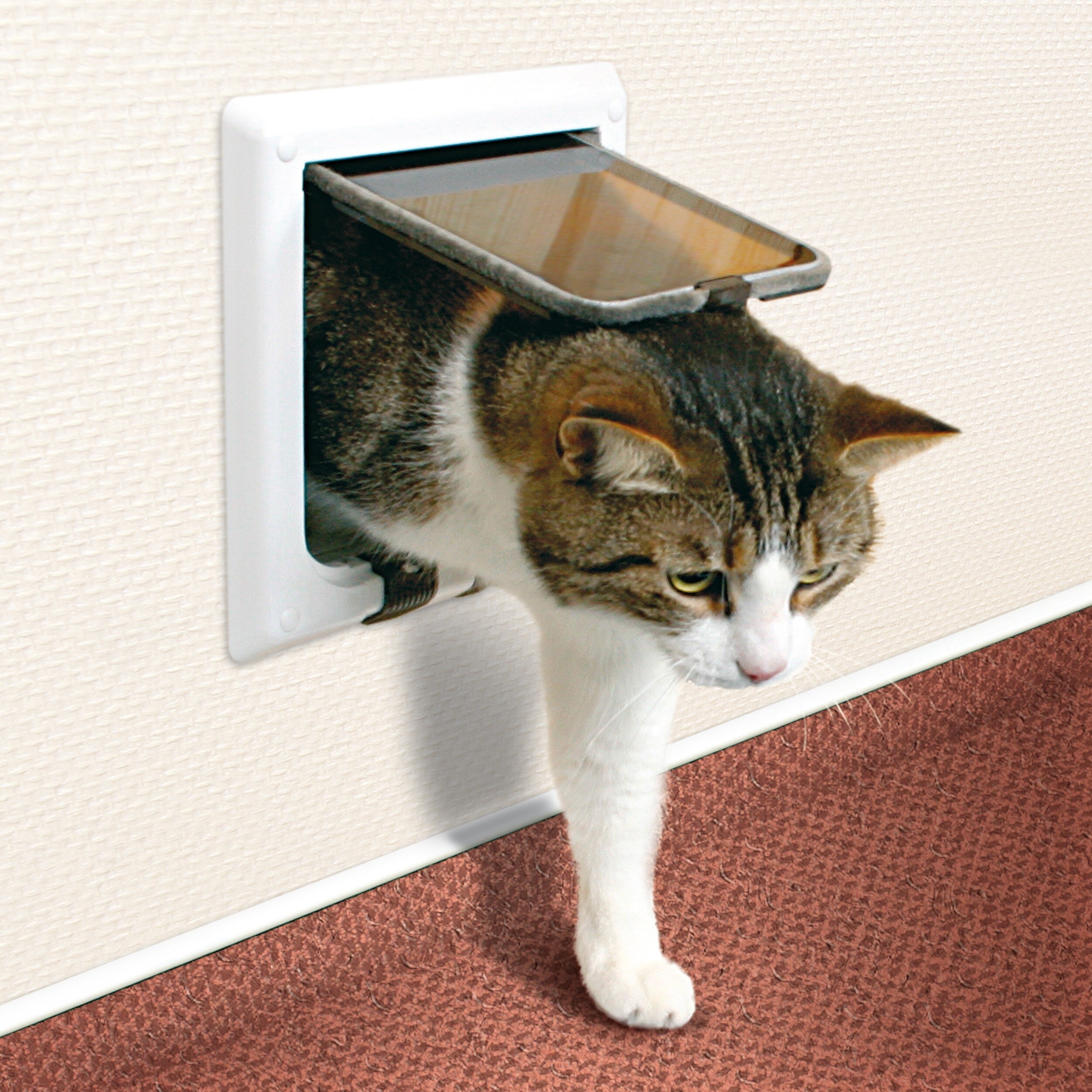 trixie 4 way cat door