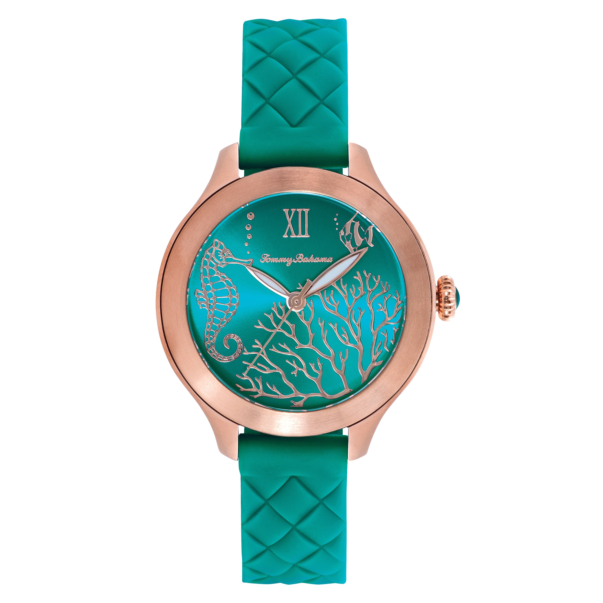 tommy bahama womens watches