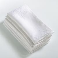 https://ak1.ostkcdn.com/images/products/10287226/Burnout-Snowflake-Design-Napkin-Set-of-8-fa5d37c5-3c56-44a0-b3fd-53bc4a22a7a0_320.jpg?imwidth=200&impolicy=medium