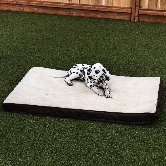 Medium Lucky Dog™ Orthopedic Pillow