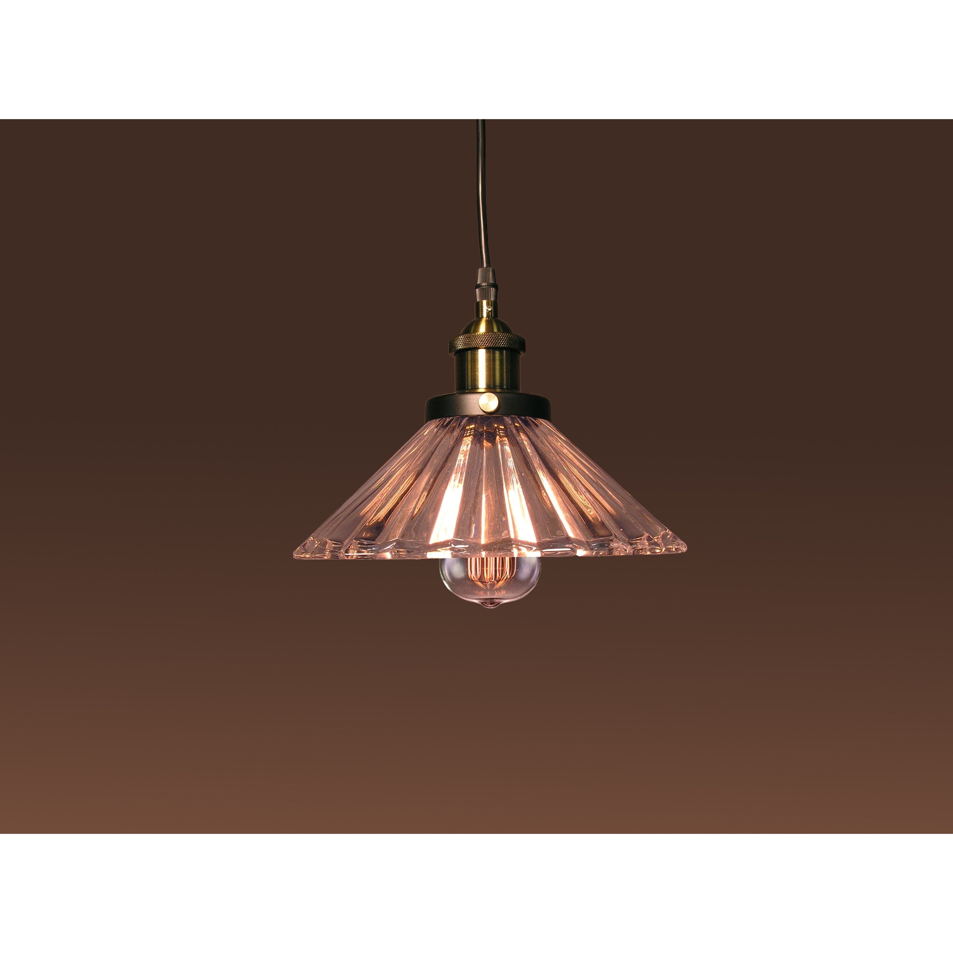 Shelby 1 Light Glass Adjustable Height 10 Inch Edison Pendant With Bulb