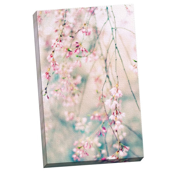 Cherry Blossom Canvas Wall Art portfolio canvas decor jessica jenney 'weeping cherry blossoms Cherry Blossom Canvas Wall Art portfolio canvas decor jessica jenney 'weeping cherry blossoms