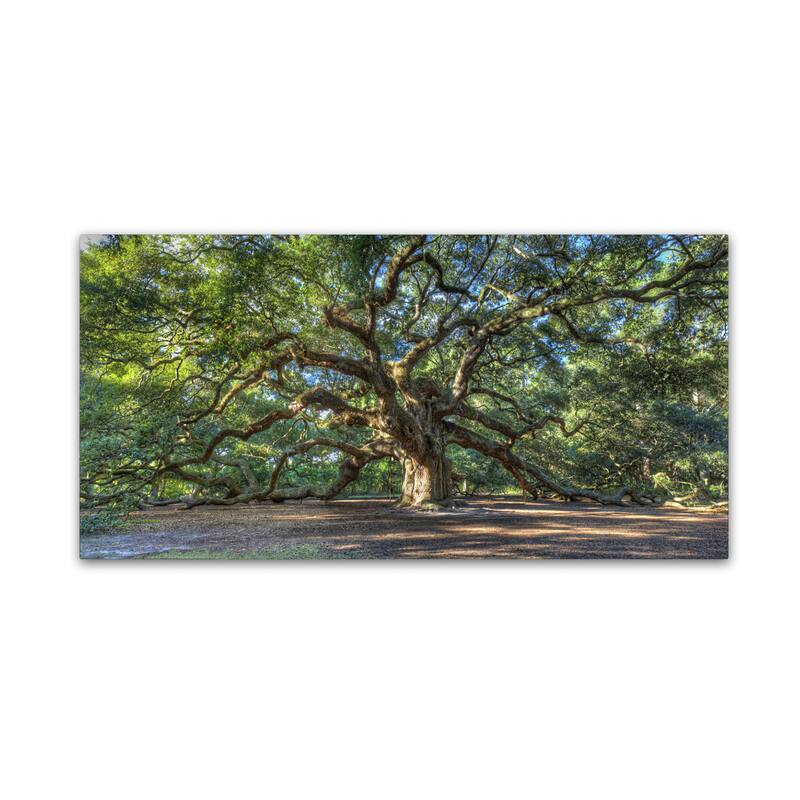 Pierre Leclerc 'Angel Oak Charleston' Gallery Wrapped Canvas Wall Art