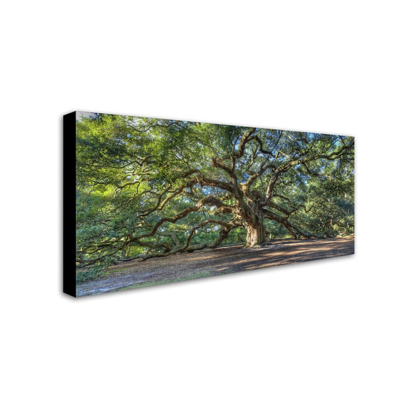 Pierre Leclerc 'Angel Oak Charleston' Gallery Wrapped Canvas Wall Art