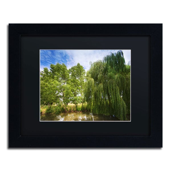 Philippe Sainte Laudy Waterhole Black Framed Canvas Wall Art