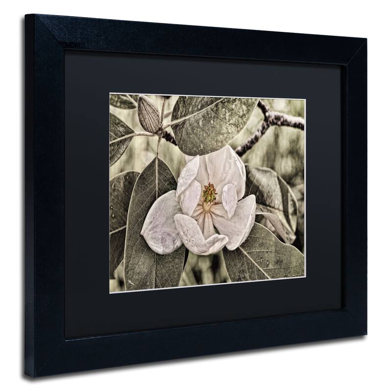 Lois Bryan 'White Magnolia' Framed Canvas Wall Art Bed Bath & Beyond 10315987
