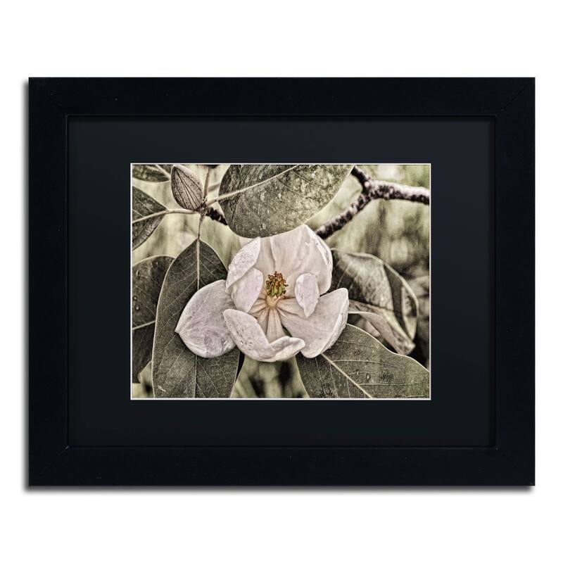 Lois Bryan 'White Magnolia' Framed Canvas Wall Art Bed Bath & Beyond 10315987