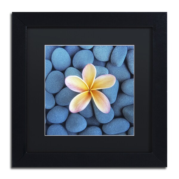 David Evans 'Plumeria & Pebbles 6' Framed Canvas Wall Art - Bed