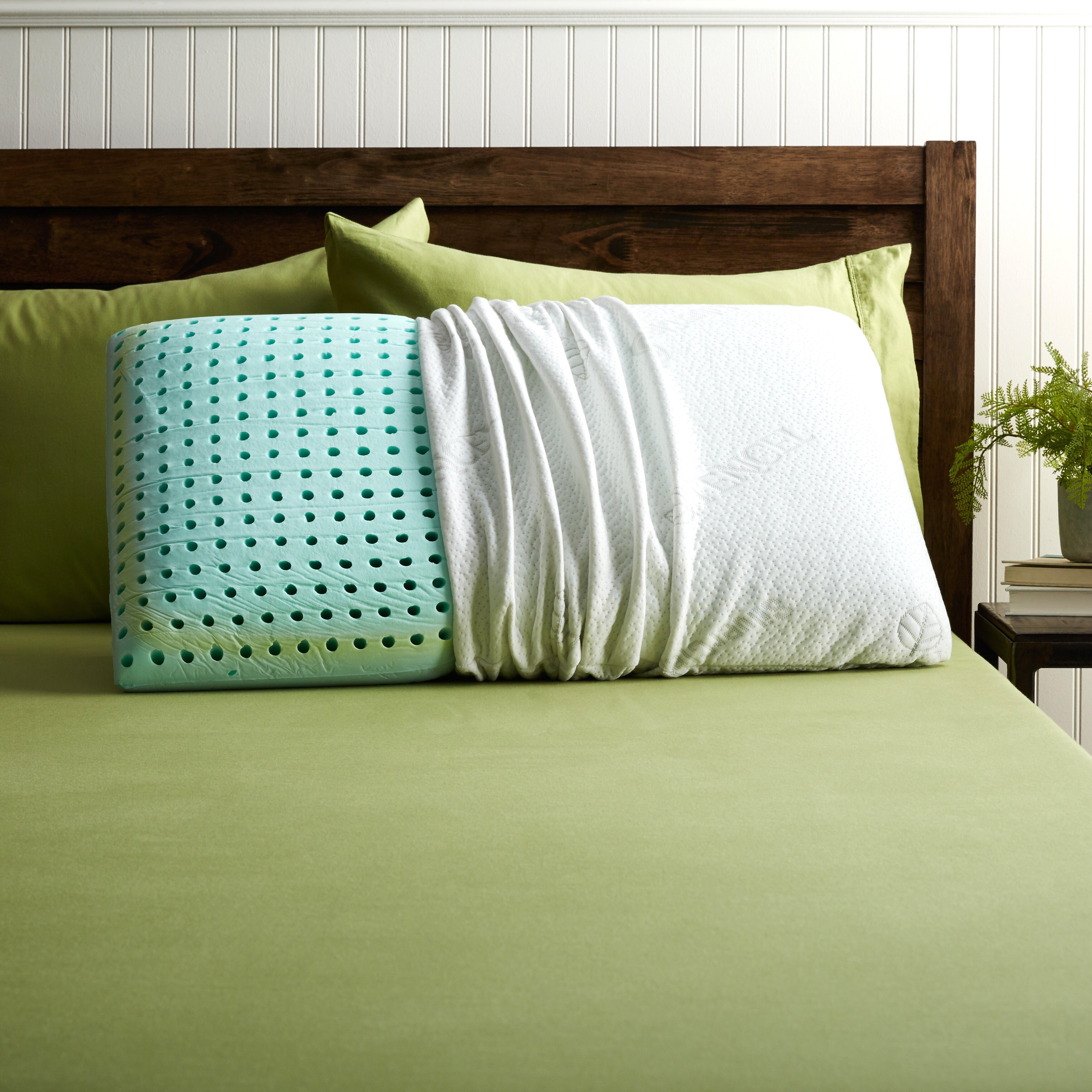 Bio aloe outlet pillow