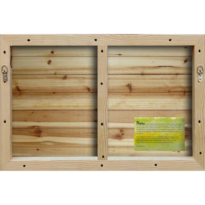 Parvez Taj 'From Across the Water' Painting Print on White Wood - Multi-color