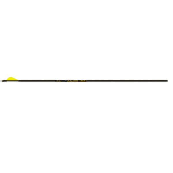 Gold Tip Hunter PRO 500 2-inch Raptor Vanes 1dz