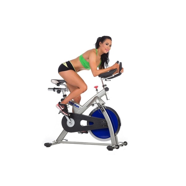 asuna spin bike