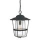 preview thumbnail 2 of 0, Creekside 1-light Black Outdoor Hanging Lantern