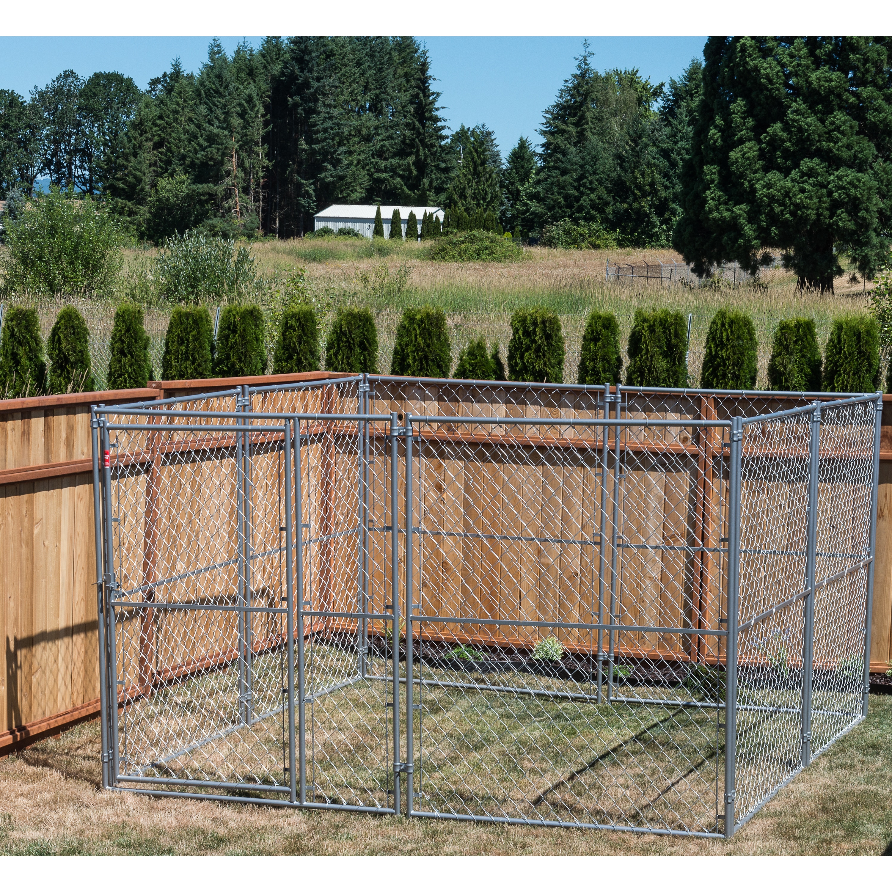 lucky dog chain link kennel