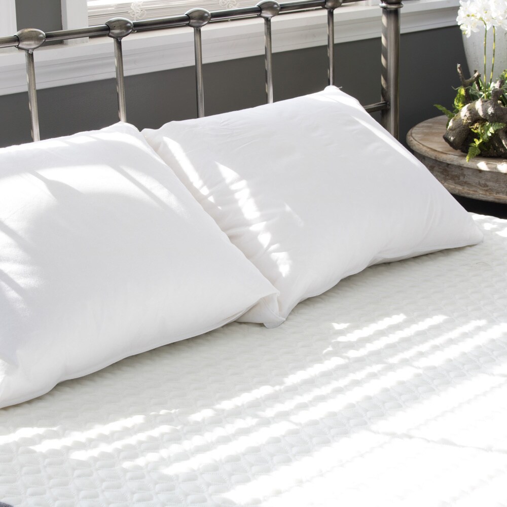 Shop Extra Soft Cotton Down And Feather Pillow White On Sale