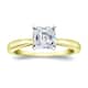 Option Two-Tone