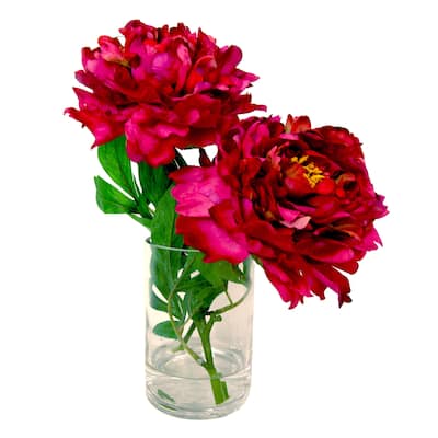 Lovely Magenta Peonies in Acrylic Water Filled Glass Vase