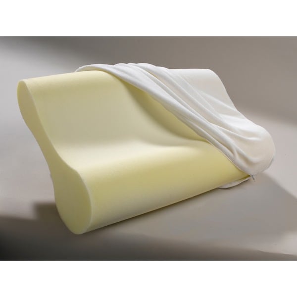 beautyrest contour memory foam pillow reviews