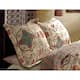 Greenland Home Fashions Esprit King Sized Pillow Shams (Set of Two)