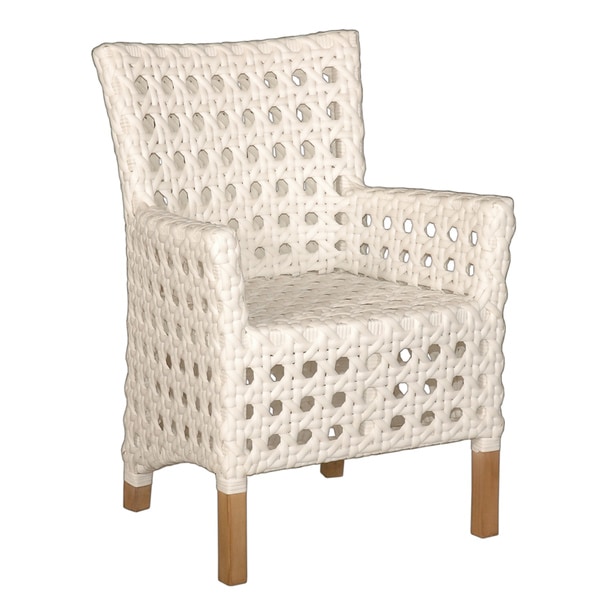 Decorative Sacramento White Modern Indoor/Outdoor Chair ...