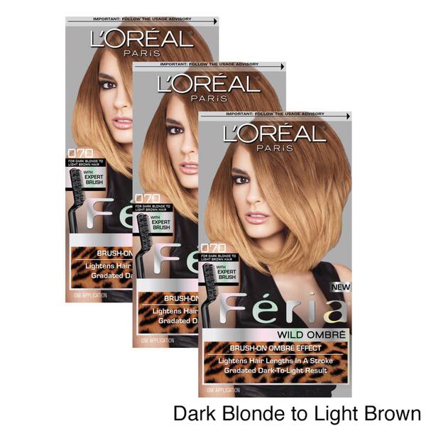 Shop L Oreal Paris Feria Wild Ombre Hair Color Pack Of 3 Free