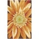 preview thumbnail 8 of 15, Nourison Fantasy Oversized Floral Area Rug 2'6" x 4' - Multi - Rectangle