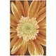 preview thumbnail 17 of 15, Nourison Fantasy Oversized Floral Area Rug 3' 6" x 5' 6" - Multi - Rectangle