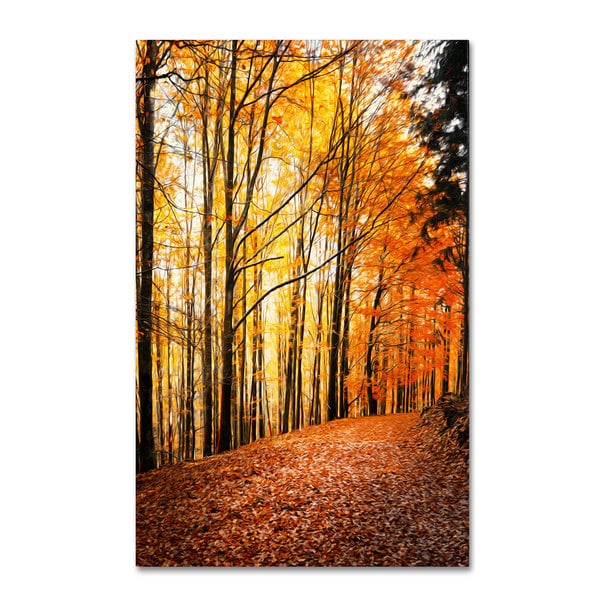 Philippe Sainte-Laudy 'Yellow Moment' Canvas Art - Multi