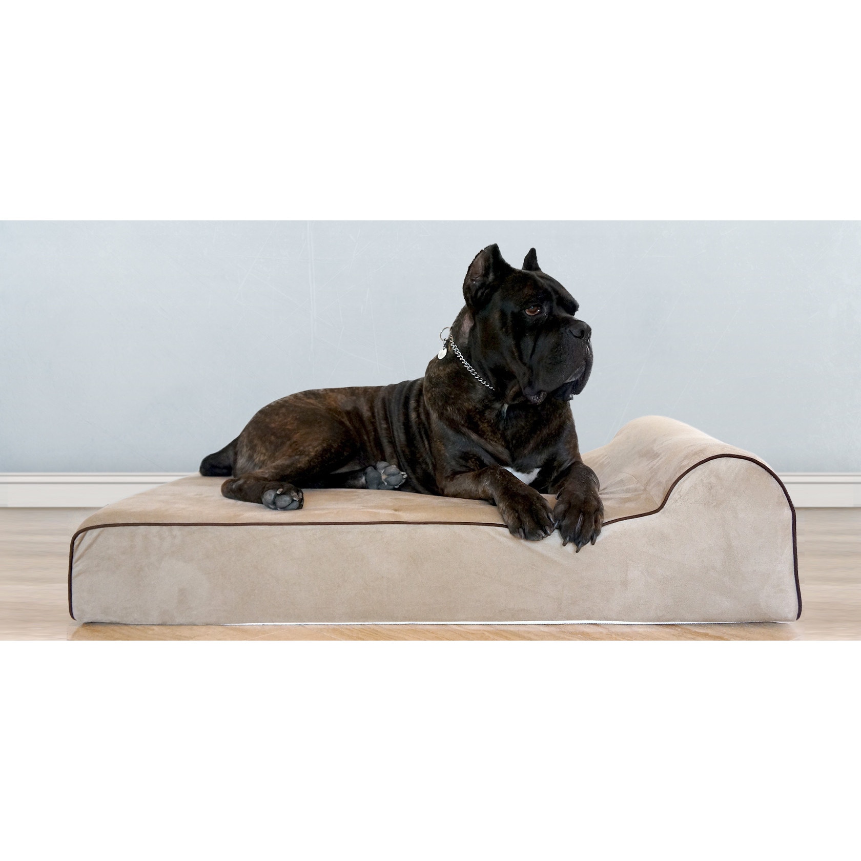 you and me memory foam dog bed