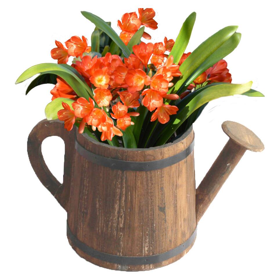 Watering Pail Planter