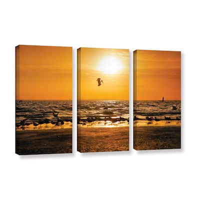 ArtWall Steve Ainsworth 'In For The Landing' 3 Piece Gallery-wrapped Canvas Set - Multi