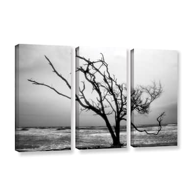 ArtWall Steve Ainsworth 'Hanging On' 3 Piece Gallery-wrapped Canvas Set - Multi